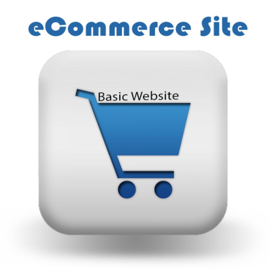 E-Commerce Website Design Company