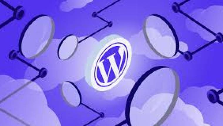 #1 WordPress Website Design Company