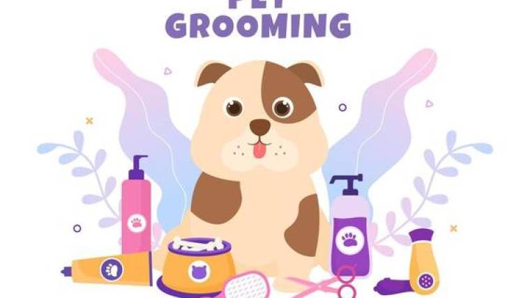 8 Powerful Tools for Pet Grooming SEO Services: Drive targeted Traffic and Online Exposure